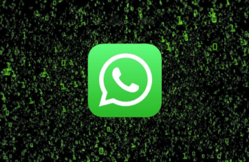 How to spy on WhatsApp messages – see the best way
