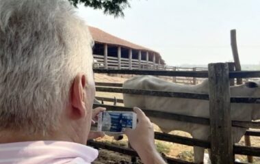 Anwendung zum Wiegen von Rindern und Tieren – Jetzt installieren