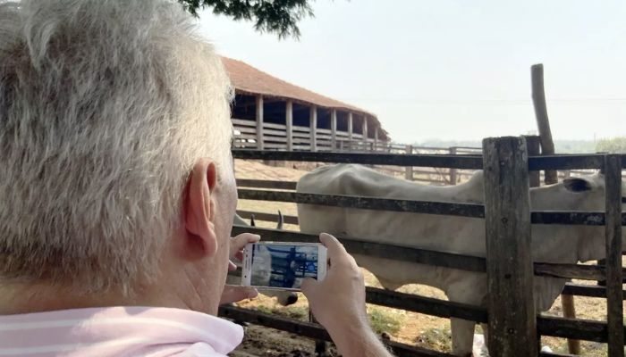 Aplicativo para Pesagem de Animais 