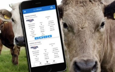 Aplicación para pesar animales y ganado – cómo utilizarla