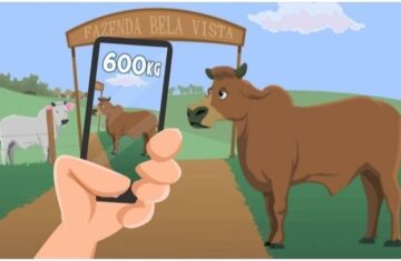 Application for Weighing Cattle and Animals – How to Use