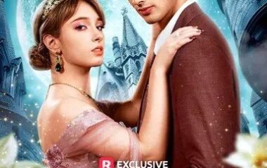 Never Reject A Wolf Princess: Romance, Fantasy, and Overcoming Challenges in One Series